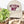 Load image into Gallery viewer, West Texas A&amp;M Strike Embroidery Trucker Cap
